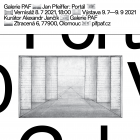 PAF GALLERY OPENS WITH AN EXHIBITION BY JAN PFEIFFER